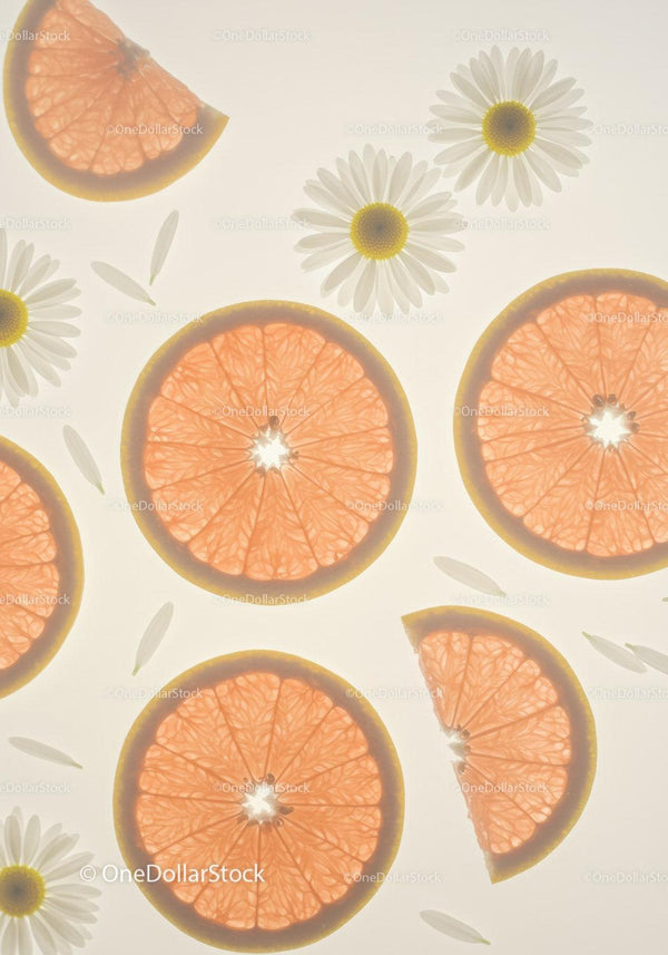 Fresh grapefruit slices and daisies in soft light