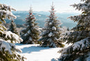 Snow-Covered Pine Trees with Red Berries in Mountain Landscape