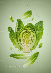 Fresh Romaine Lettuce Leaves Floating in Water