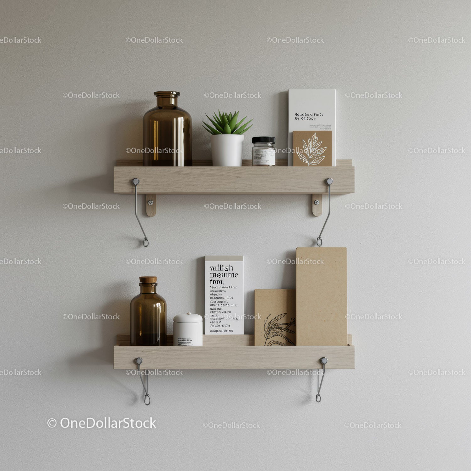 Minimalist Interior with Wooden Shelves and Green Plant for Modern Home