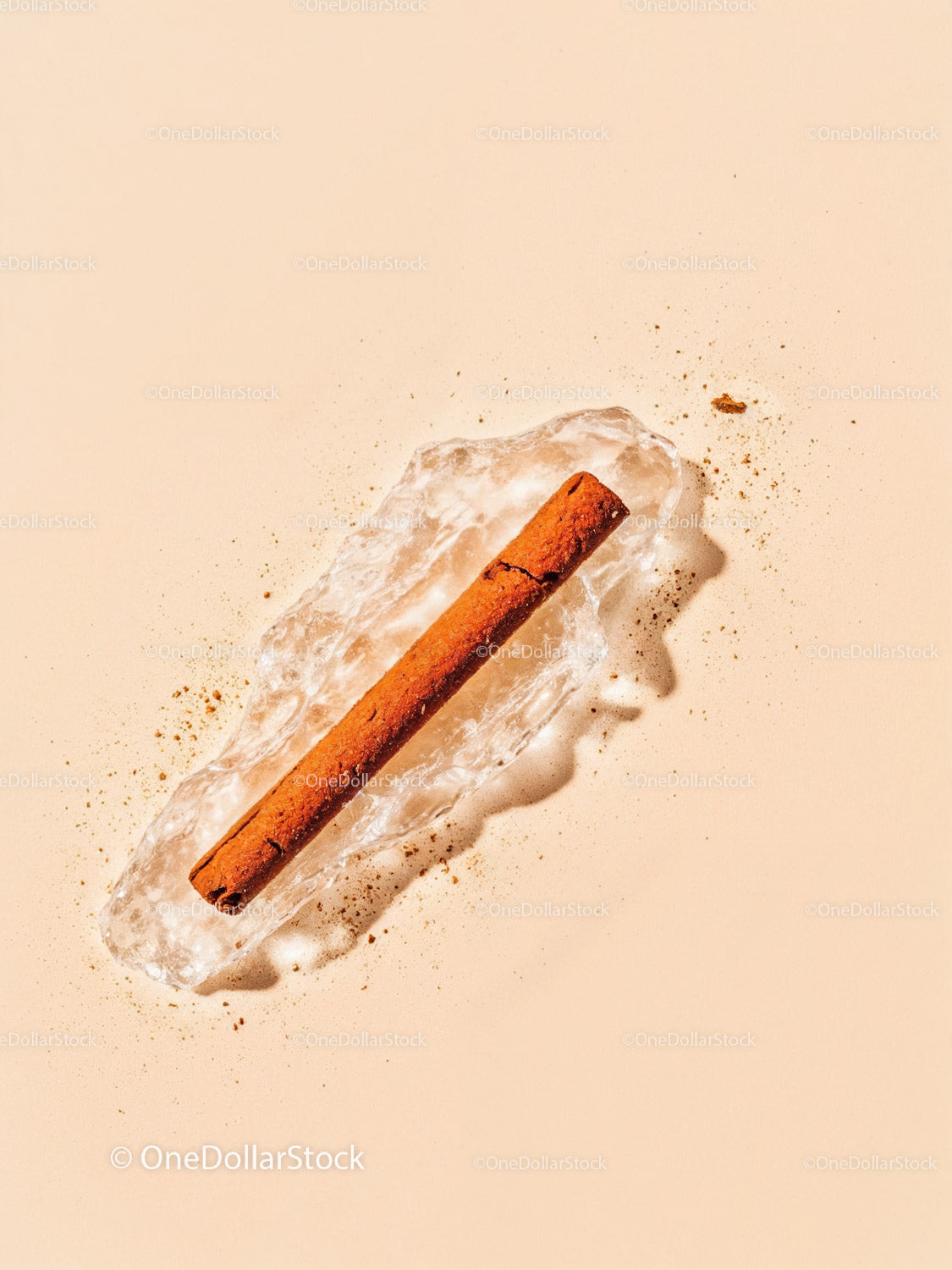 Cinnamon Stick Resting on Melting Ice Cube