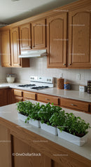 Cozy Kitchen with Wooden Cabinets and Green Herb Plants