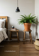 Indoor Fern Plant in Terracotta Pot for Cozy Modern Bedroom Decor