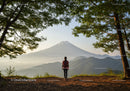 Scenic Mountain Landscape with Hiker and Verdant Forest