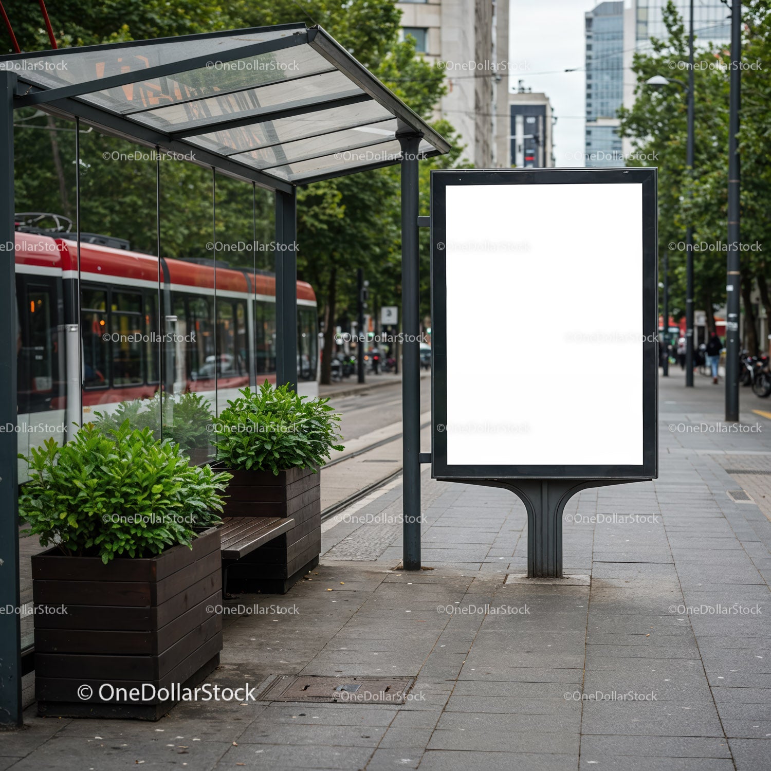 Przystanek tramwajowy z pustą tablicą reklamową i zielenią