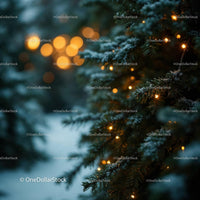 Frosted Pine Branches with Warm Christmas Lights