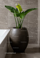 Large Green Foliage Houseplant in Chic Pot for Modern Interior Decor