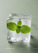 Fresh mint leaves frozen in clear ice cube