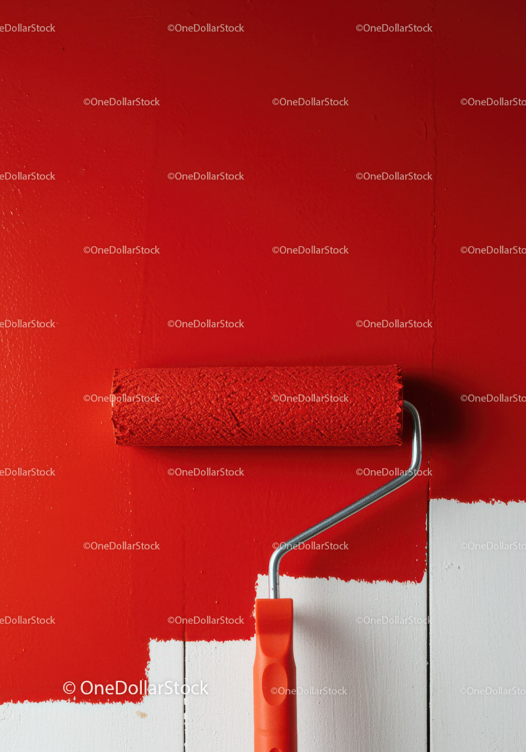 Red Paint Wall Being Painted with Roller in Modern Home Interior