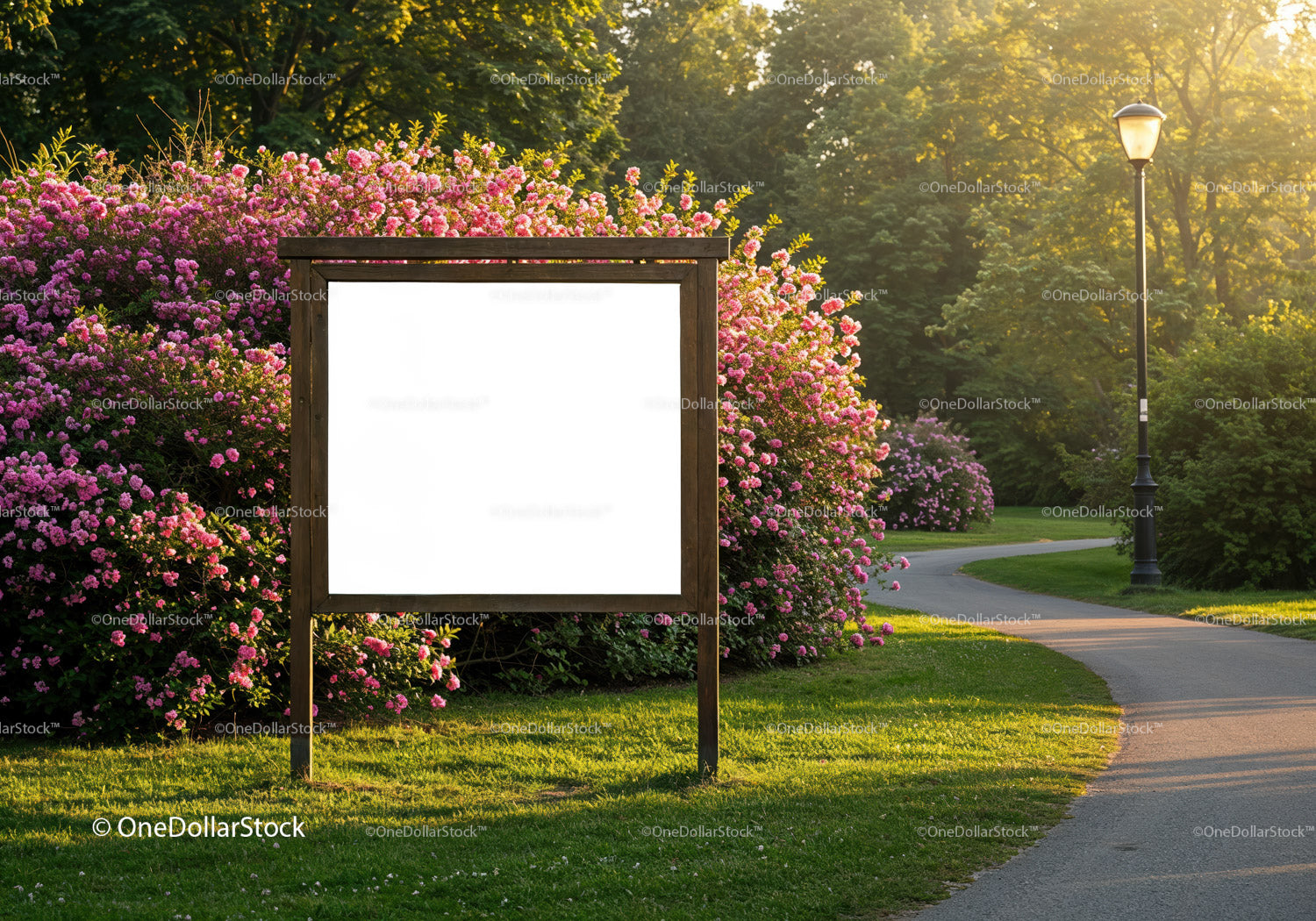 Wooden signboard in blooming garden park at sunset
