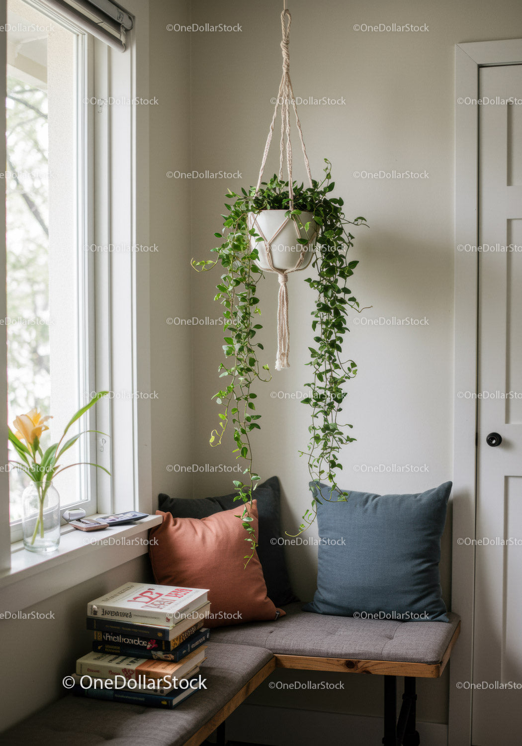 Indoor Hanging Plant Display with Vines in Modern Cozy Room