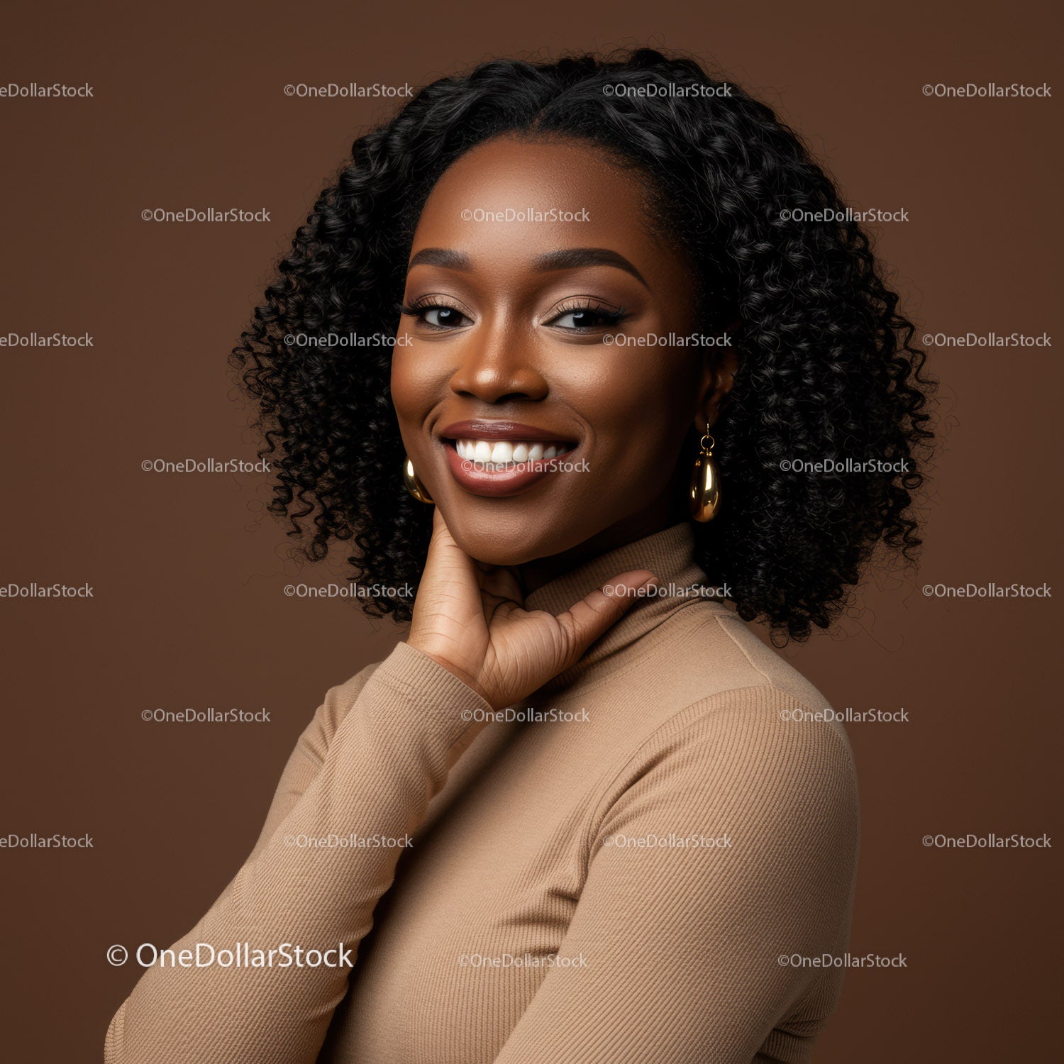 Elegant African American Woman with Curly Hair and Bright Smile