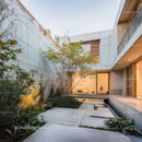 Modern Concrete Courtyard with Lush Greenery and Minimalist Design