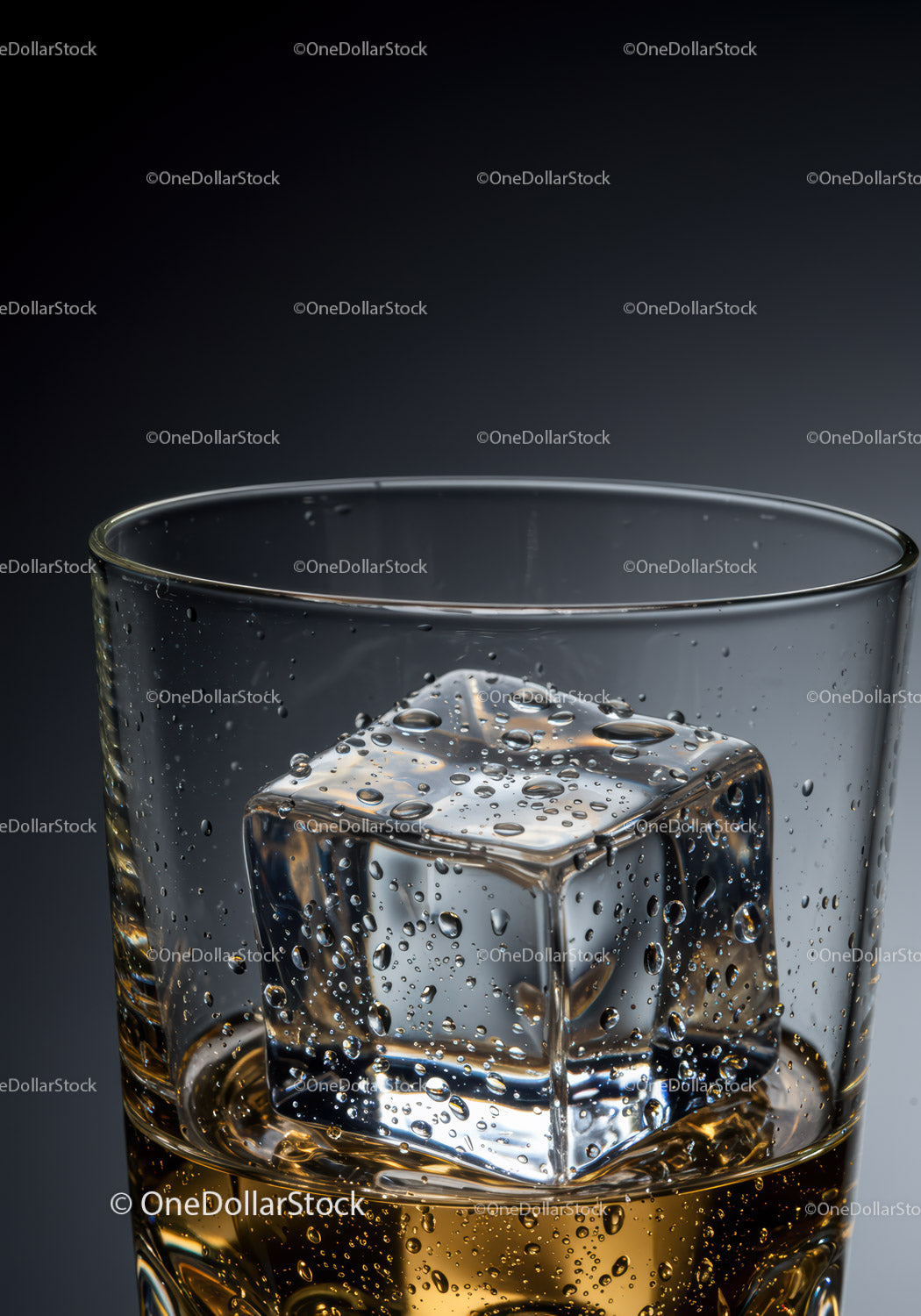 Whiskey with melting ice cube in clear glass