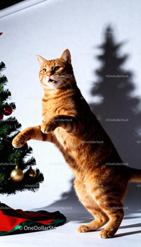 Curious ginger cat reaching for Christmas tree ornaments
