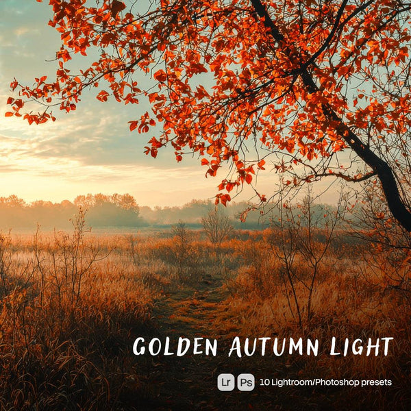 Golden Autumn Light Presets (10 XMP files)