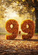Autumn Numbers Formed by Fall Leaves in Sunny Park