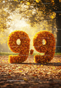Autumn Numbers Formed by Fall Leaves in Sunny Park