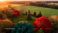 Decorated Christmas tree amidst vibrant autumn landscape