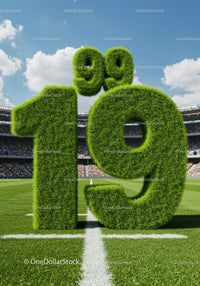 Grass Covered 10.99 Number on Football Field