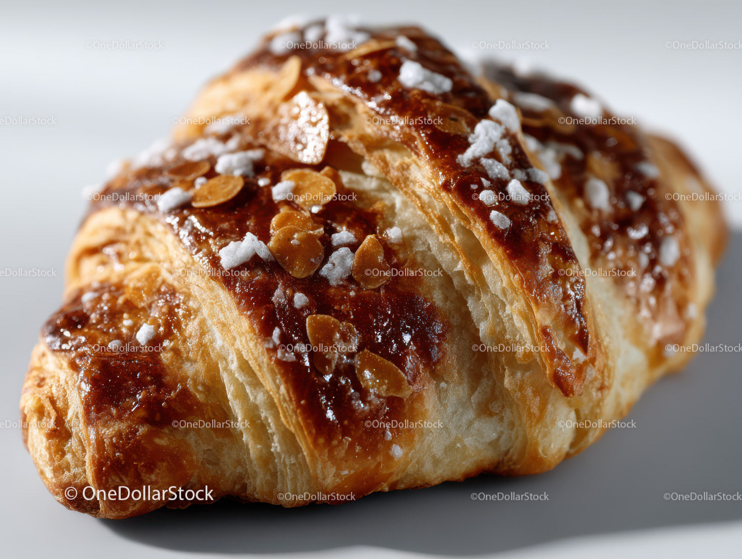 Delicious almond and caramel layered pastry with powdered sugar