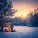 Sunset Glow Over Snowy Winter Forest with Lit Tree