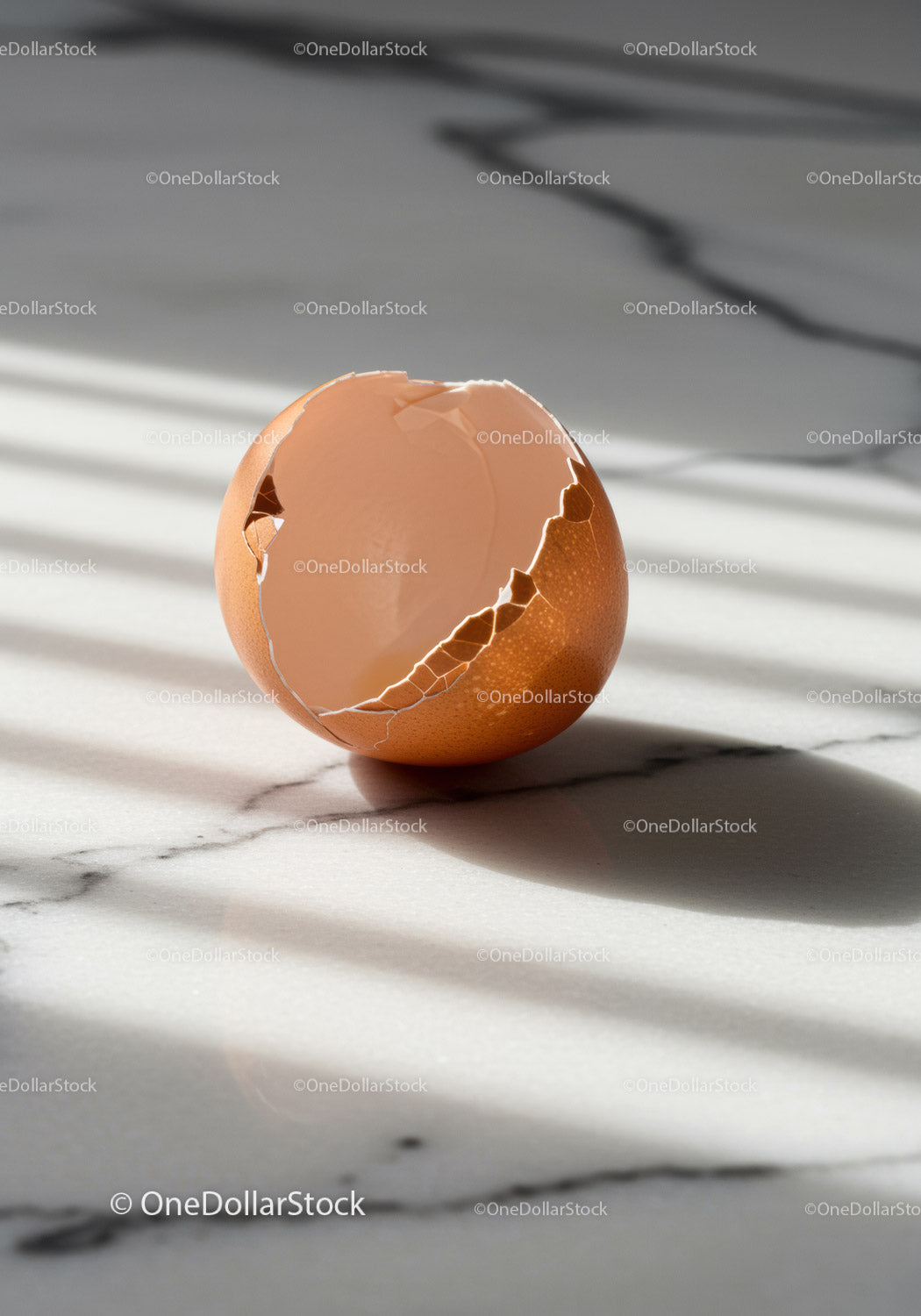 Cracked brown eggshell on marble surface with shadow