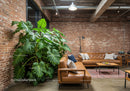 Contemporary Interior with Exposed Brick Wall and Green Monstera