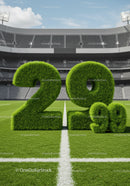 Eco Friendly 20 99 Percent Interest Rate on Stadium Field