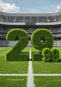 Eco Friendly 20 99 Percent Interest Rate on Stadium Field
