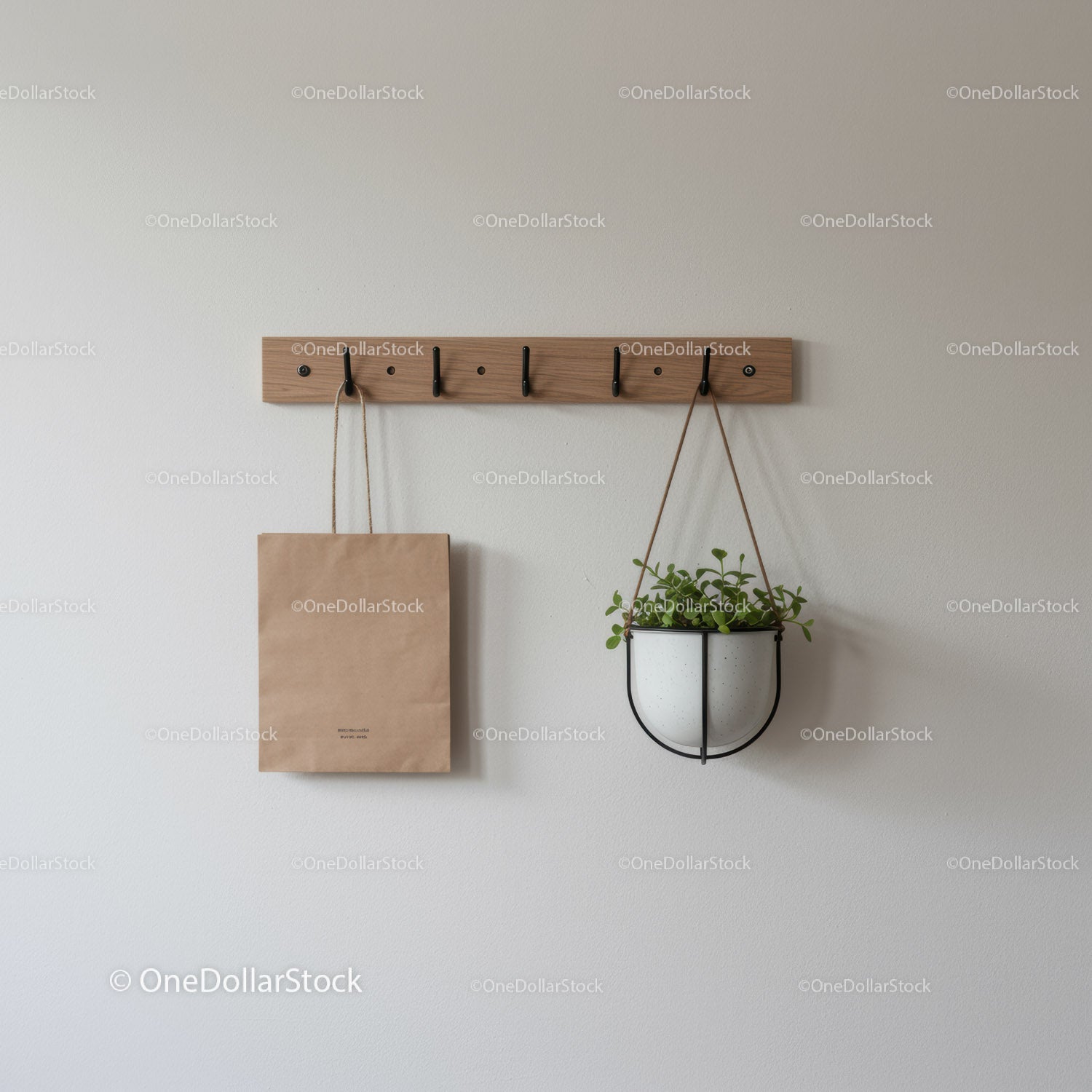 Modern Wooden Coat Rack with Hanging Planter and Document Holder