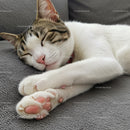 Sleeping tabby cat resting peacefully on gray blanket