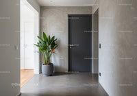 Modern Interior Hallway with Black Door and Potted Green Plant