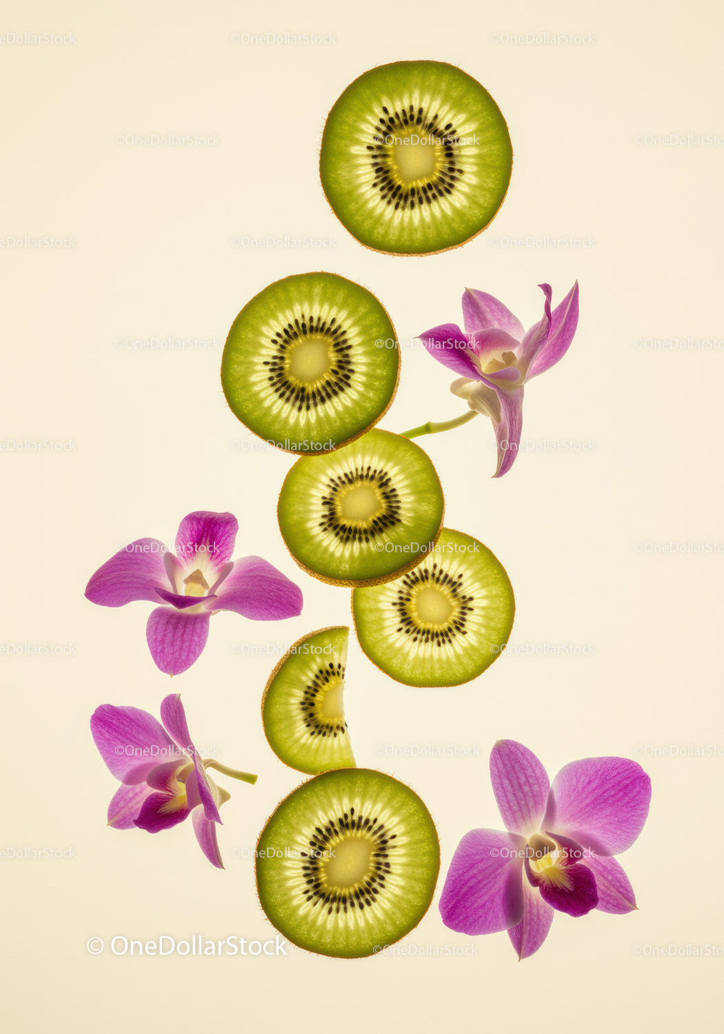 Świeże plasterki kiwi z delikatnymi różowymi kwiatami orchidei