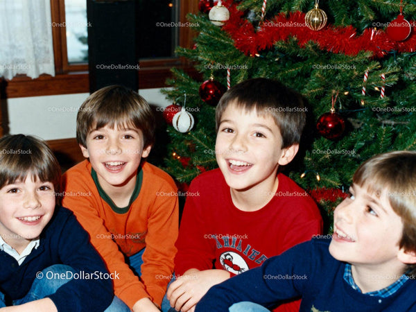 Happy boys enjoying Christmas by decorated tree