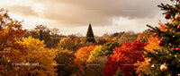 Autumn landscape with decorated Christmas tree in forest
