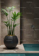 Elegant Large Green Foliage Plant in Modern Interior Decor