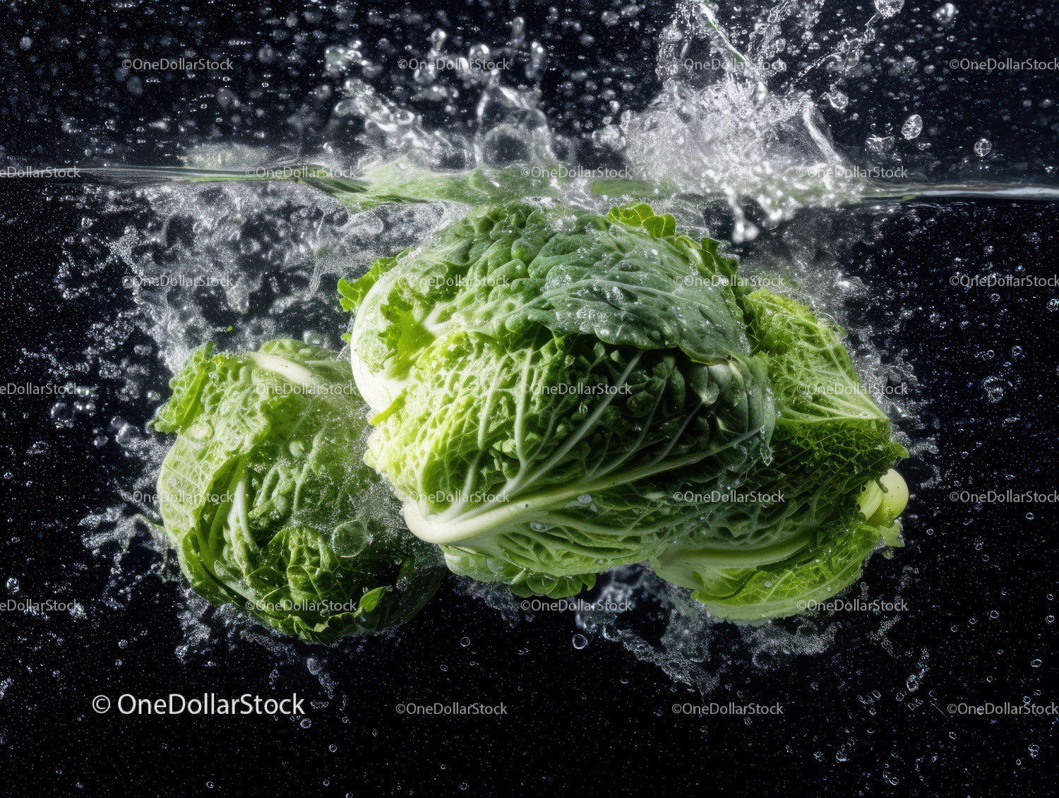 Fresh Green Cabbage for Healthy Cooking and Salads