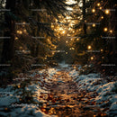Sunlit forest path with glowing winter fairy lights