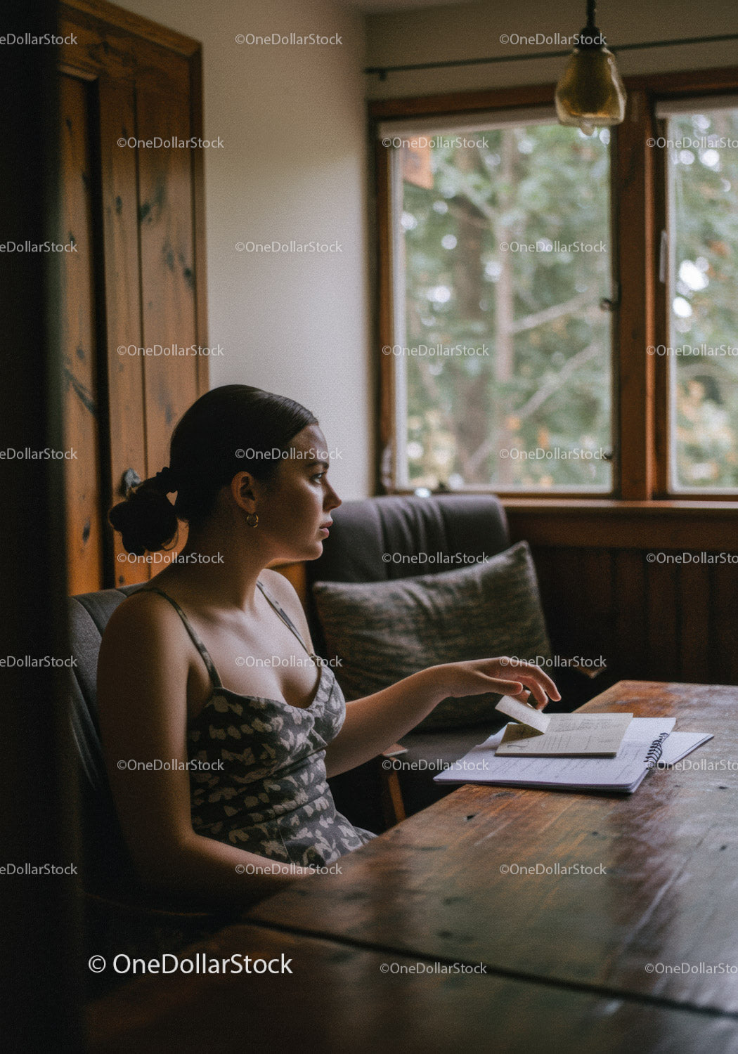 Young Woman Sitting at Desk with Notebook in Cozy Home Office