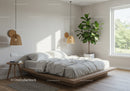 Minimalist bedroom with natural light and green plant