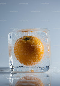 Fresh orange fruit frozen inside clear ice cube