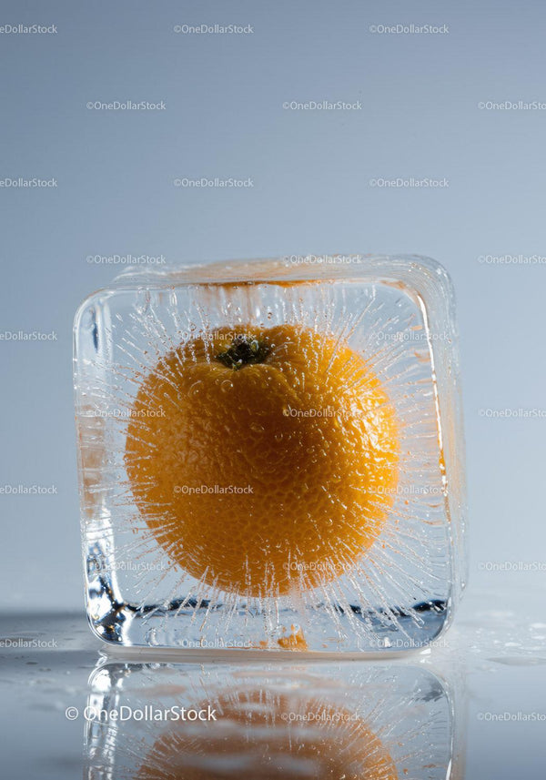 Fresh orange fruit frozen inside clear ice cube