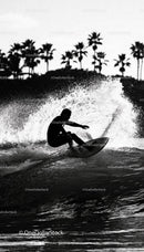 Surfer carving a wave with palm trees silhouette
