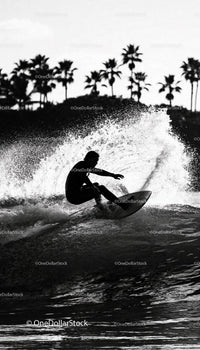 Surfer carving a wave with palm trees silhouette