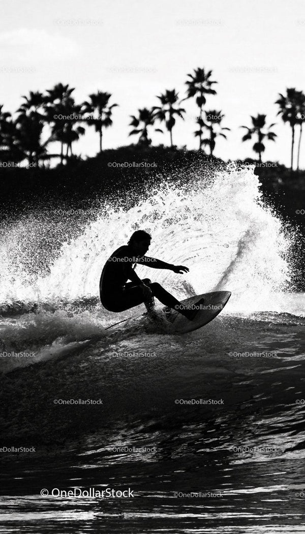 Surfer carving a wave with palm trees silhouette