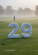 Golf Course Morning with Number Twenty Nine Balls Display