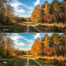 Before and after Cozy Autumn Leaves Palette Lightroom preset edit
