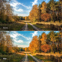 Before and after Cozy Autumn Leaves Palette Lightroom preset edit