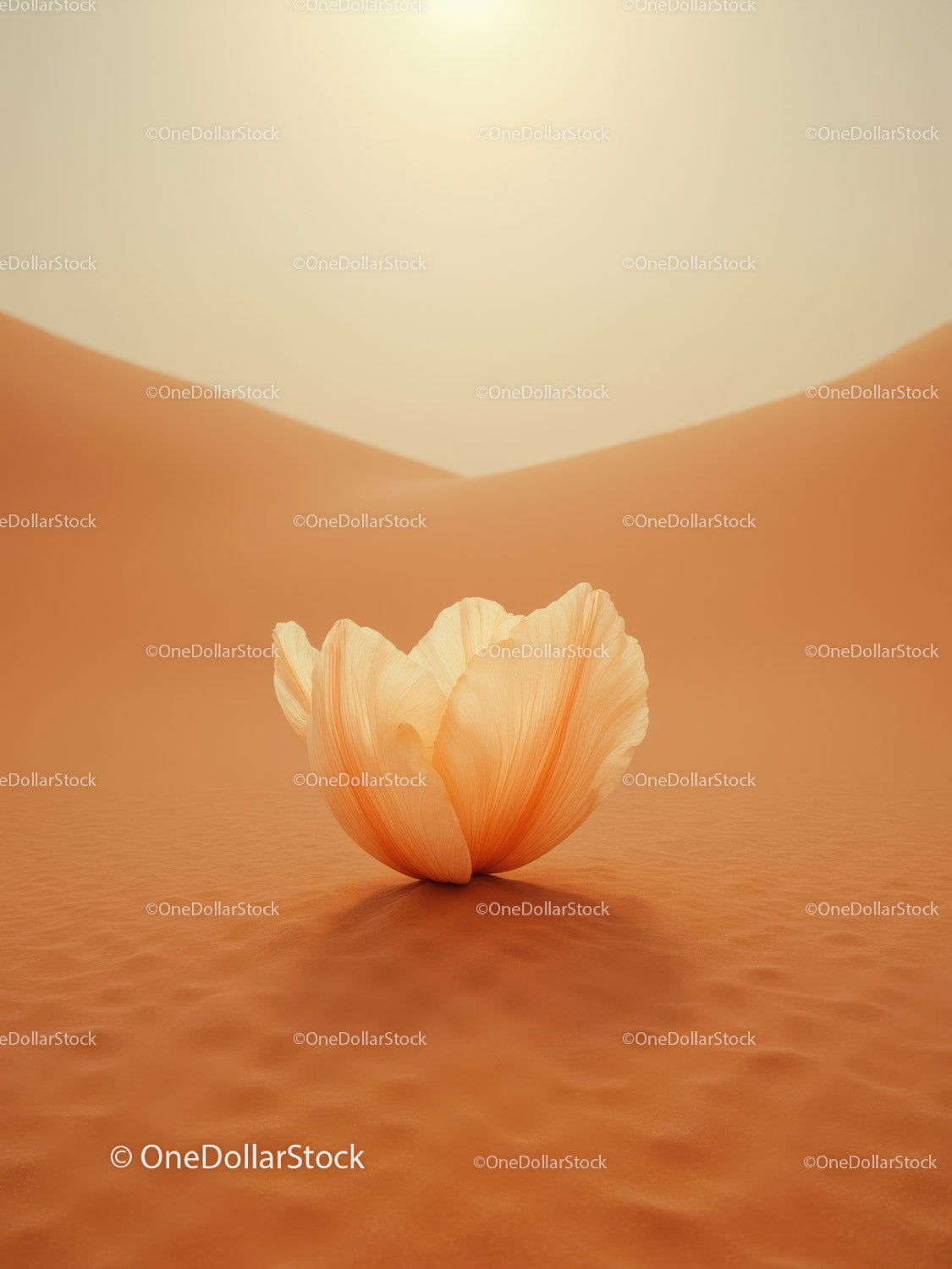 Delicate Flower Petals Blooming in Desert Sand Dunes
